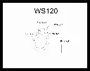WS120.webp