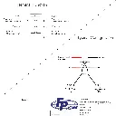 VLD1-3.webp