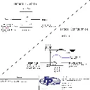 LT-25X1-1.webp