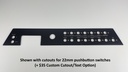 Scout 251 XSS Instrument/Switch Panel - 2022