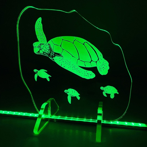 [FPLS-03009] Engraved Clear Acrylic Display: Sea Turtles - SMALL